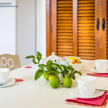 Ideal Mallorca - Navarro *