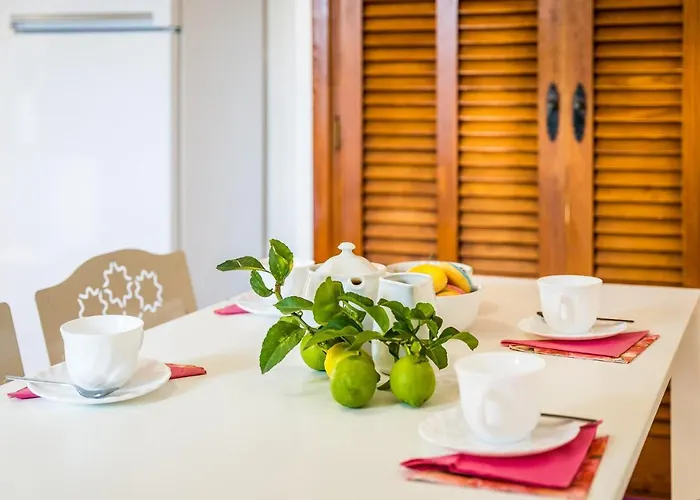 Ideal Mallorca - Navarro *