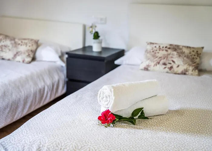 Ideal Mallorca - Navarro * פוינסה