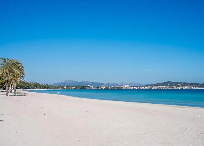 Ideal Mallorca - Navarro *