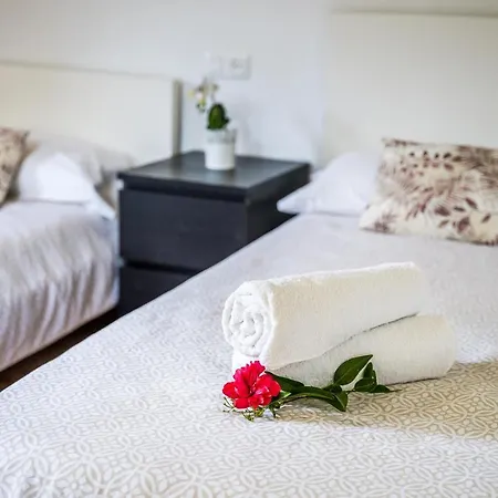 Ideal Mallorca - Navarro * Pollença