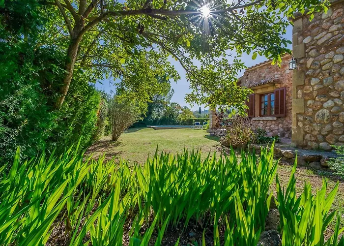 Ideal Mallorca - Navarro